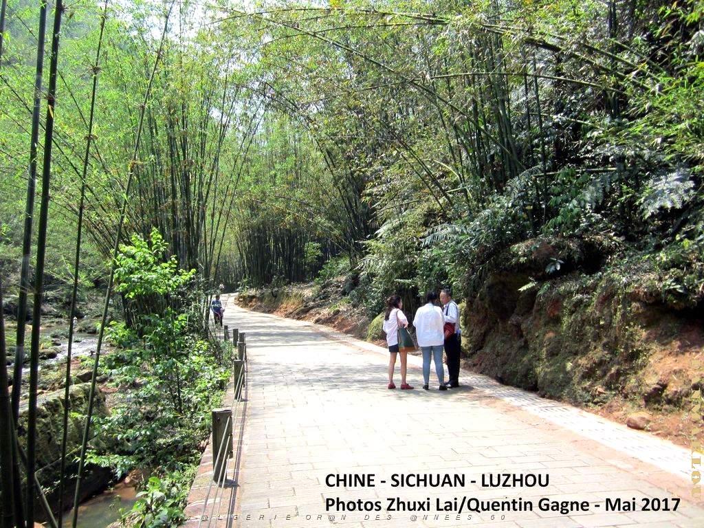 Luzhou 073.JPG